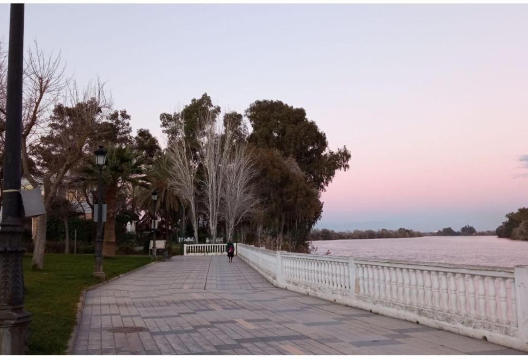 Habitacion Amplia Y Luminosa Coria del Río المظهر الخارجي الصورة